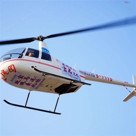 民用直升机 徐州直升机看房按天收费