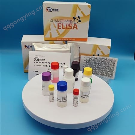 进口白介素检测试剂盒生产