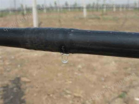 新疆果园灌溉 _果园灌溉设备_承接新疆果树灌溉工程