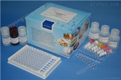 大鼠Bcl-2相关X蛋白（BAX）ELISA试剂盒
